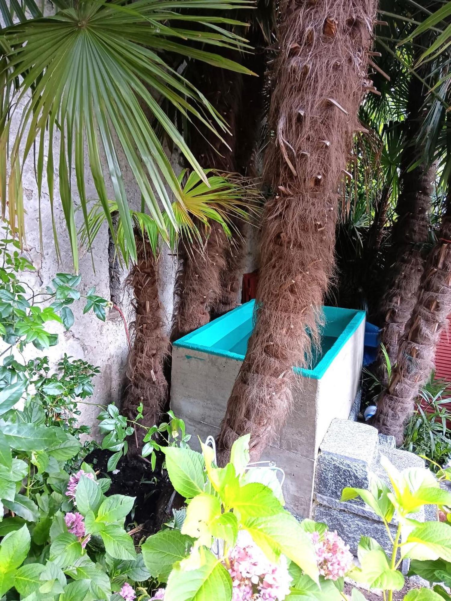 Casa Belgeri - Bed & Breakfast Dongio Экстерьер фото